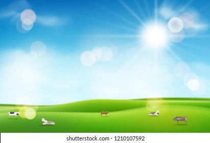 Green grass with sun and blue sky. blurred light effects and cows for your design