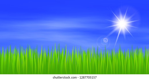 Green grass and sun in the blue sky, lens flare, vector illustration, EPS10