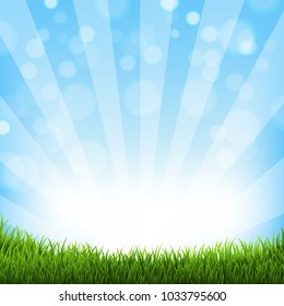 Green Grass And Sunburst With Gradient Mesh, Vector Illustration