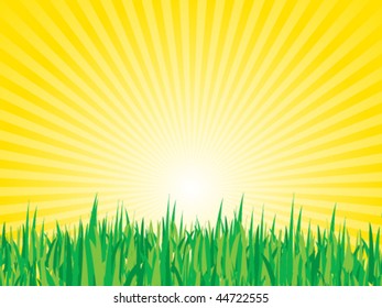 Green Grass and Sunbursts