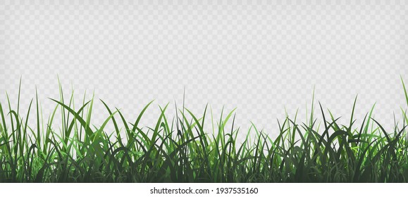 背景透過 草 のイラスト素材 画像 ベクター画像 Shutterstock