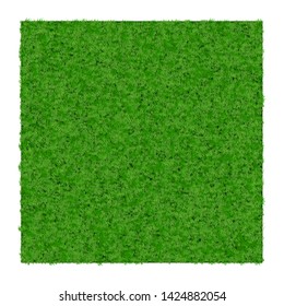 Green grass texture background. Vector illustration.