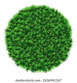 Green grass texture background,Vector cartoon nature spring rawn field on round shape for gardening element,Cute meadow pattern on ground,Natural abstract background for four seasons

 