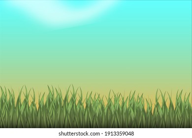 Green Grass Texture with Blang Copyspace Against Blue Sky