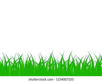 Green grass texture isolated on a white background