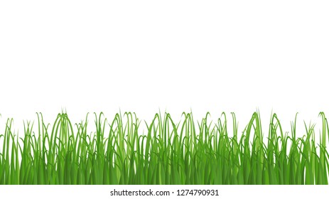 Green grass texture isolated on white background with copy space. For lawn, Landscape, Abstract, vector illustration Eps 10.