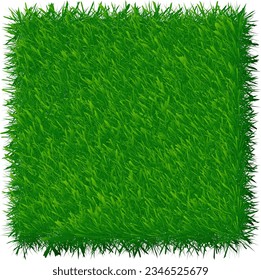 Green grass texture. Lawn nature background . Abstract field texture. Symbol of summer, plant, eco and natural, growth or fresh. Vector Design for banner or website. 
