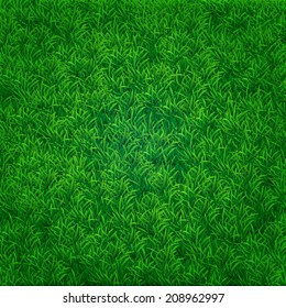 Green Grass  Texture. Vector Background. Not Seamless Pattern