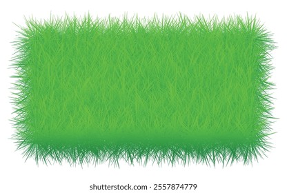 Green Grass Texture Vector image art Illustration white Background.