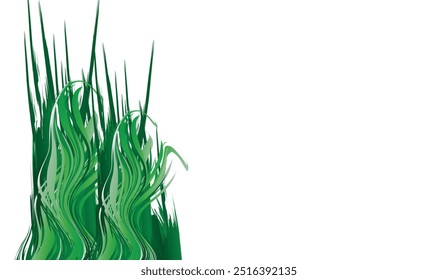Green grass that is longitudinal to be used as a design element isolated from a white  background. Vector illustrations