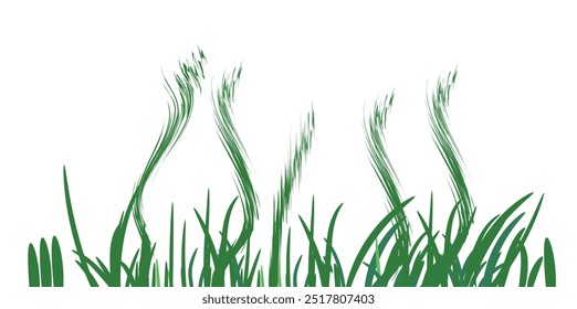 Grama verde longitudinal a utilizar como elemento de projeto isolado de um fundo branco. Ilustrações vetoriais