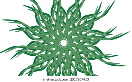Green grass that is longitudinal to be used as a design element isolated from a white  background. Vector illustrations