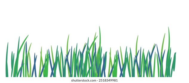 Green grass that is longitudinal to be used as a design element isolated from a white  background. Vector illustrations