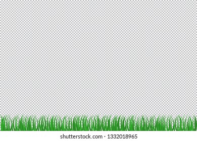 green grass that is longitudinal  isolated from a transparent background. Vector illustrations 
