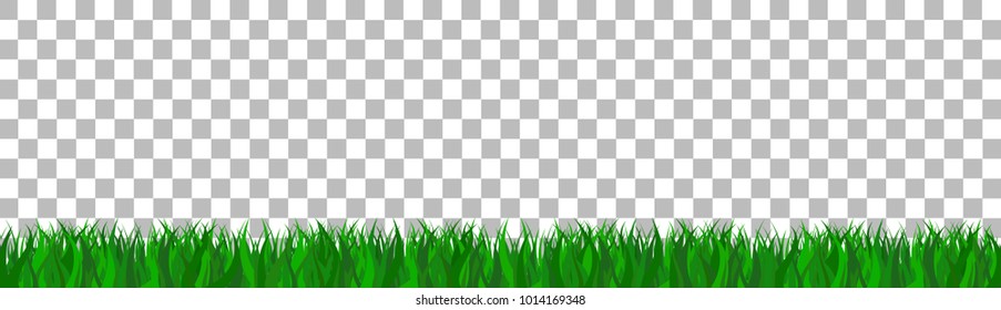 green grass that is longitudinal to use as a design element isolated from a transparent background. Vector illustrations