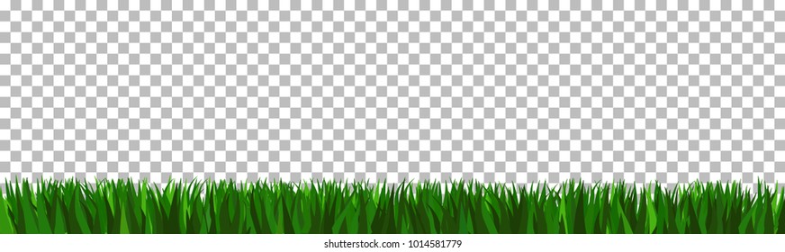 green grass that is longitudinal to use as a design element isolated from a transparent background. Vector illustrations