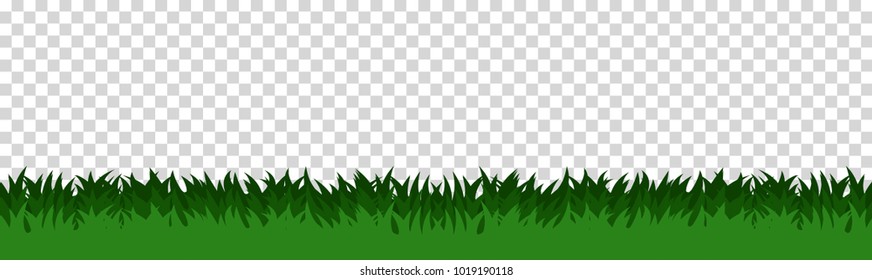 green grass that is longitudinal to use as a design element isolated from a transparent background. Vector illustrations