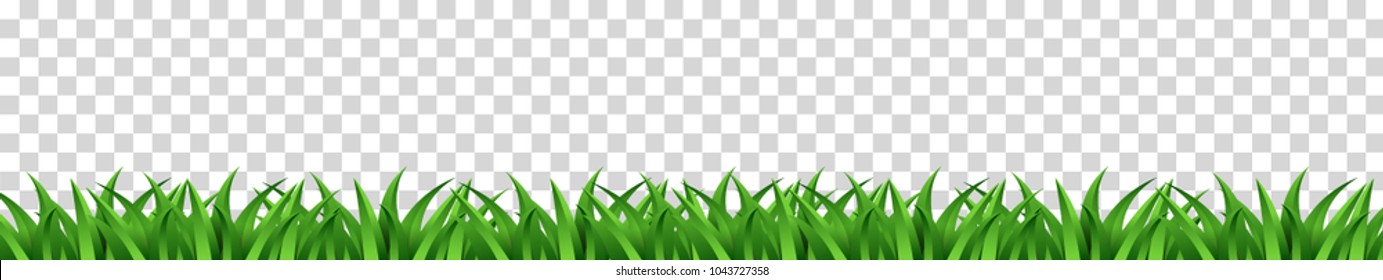 césped verde longitudinal que se utiliza como elemento de diseño aislado de un fondo transparente. Ilustraciones vectoriales
