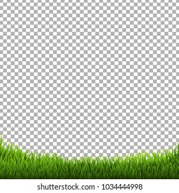 Green Grass Transparent Background, Vector Illustration