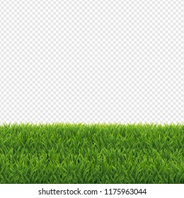 Green Grass Transparent Background, Vector Illustration
