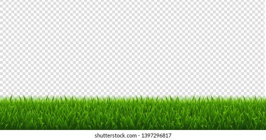 Green Grass And Transparent Background, Vector Illustration
