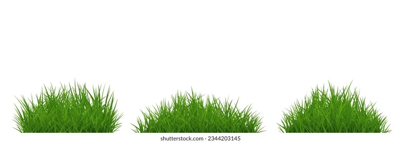 Green grass tuft set isolated on white background. Vector
