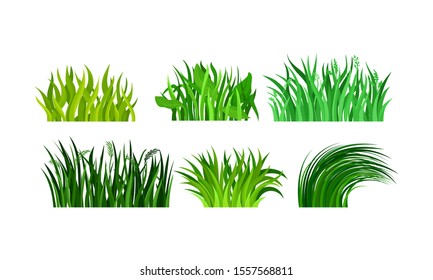 Green Grass In Tuftrs Vector Illustration Set Isolated