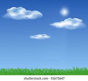 green grass under blue sky