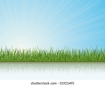 Green Grass Under The Sunlight. Nature Vector Collection.