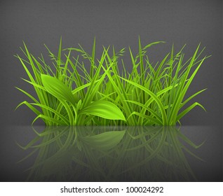 Green grass, vector