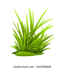 Green grass, vector