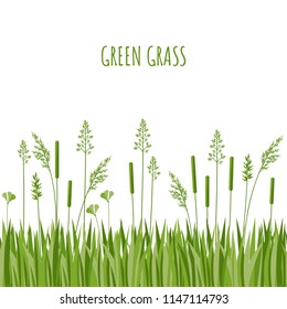green grass vector