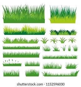 Green Grass Vector