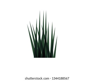 Green grass. - Vector
