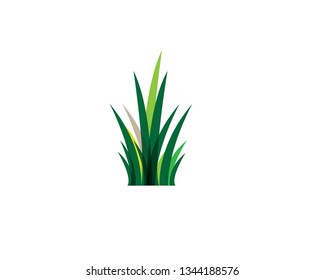 Green grass. - Vector
