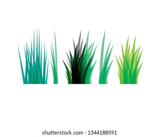 Green grass. - Vector
