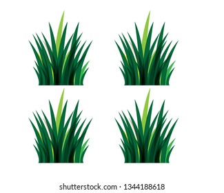 Green grass. - Vector
