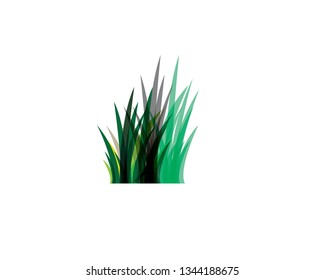 Green grass. - Vector
