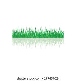 Green grass, vector 