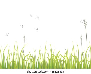 green grass - vector