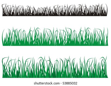 Green grass vector