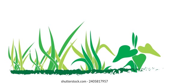 Green grass vector art, Grass herb or plant growing, nature grass Vector.