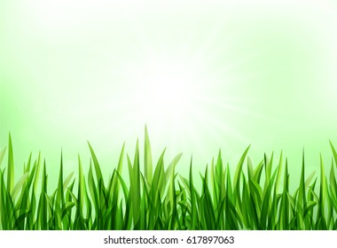 Green grass vector background