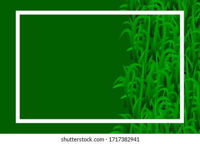 green grass vector background design