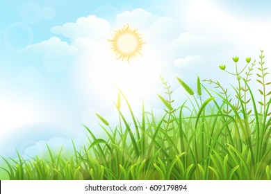 Green grass vector background with sun and sky