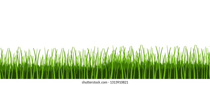 Green grass vector. Grass border illustration.