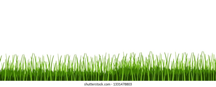 Green grass vector. Grass border illustration.
