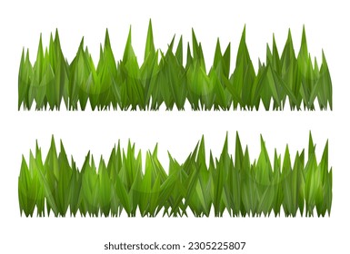 Green grass vector border on white or transparent background. Field or lawn isolated meadow turf. Realistic yard summer footer.