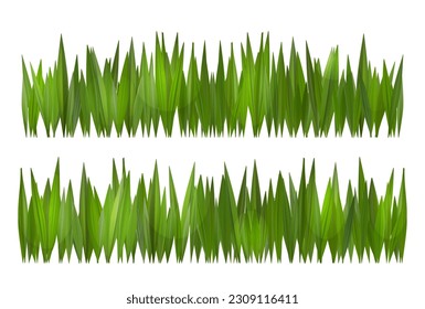 Green grass vector border on white or transparent background. Field or lawn isolated meadow turf. Realistic yard summer footer.