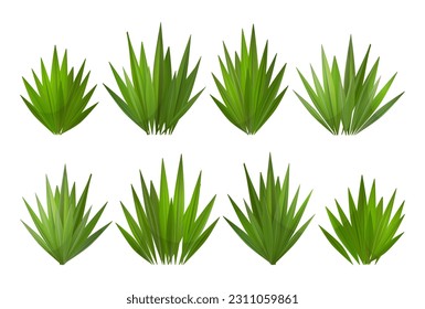 Green grass vector border on white or transparent background. Field or lawn isolated meadow turf. Realistic yard summer footer.